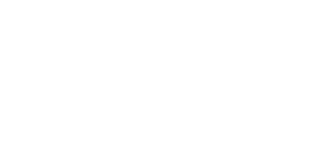 Schrack Seconet